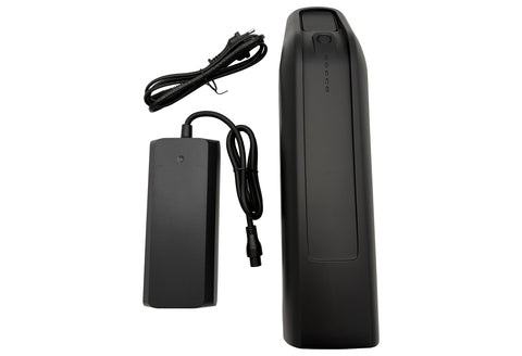 AEG Downtube Accu 48V 12.8Ah CAN-BUS voor Prophete (ZZ131304), Rex en andere E-Bikes | Compatibel