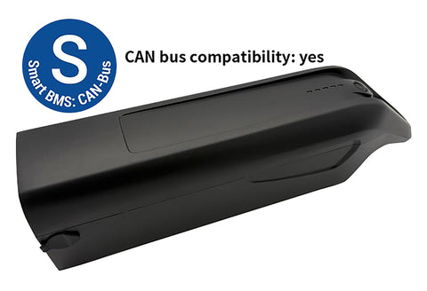 AEG Downtube Accu 48V 12.8Ah CAN-BUS voor Prophete (ZZ131304), Rex en andere E-Bikes | Compatibel