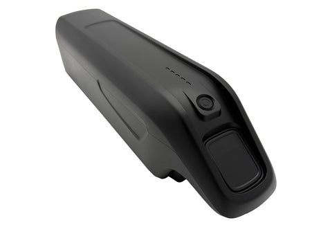 AEG Downtube Accu 48V 12.8Ah CAN-BUS voor Prophete (ZZ131304), Rex en andere E-Bikes | Compatibel